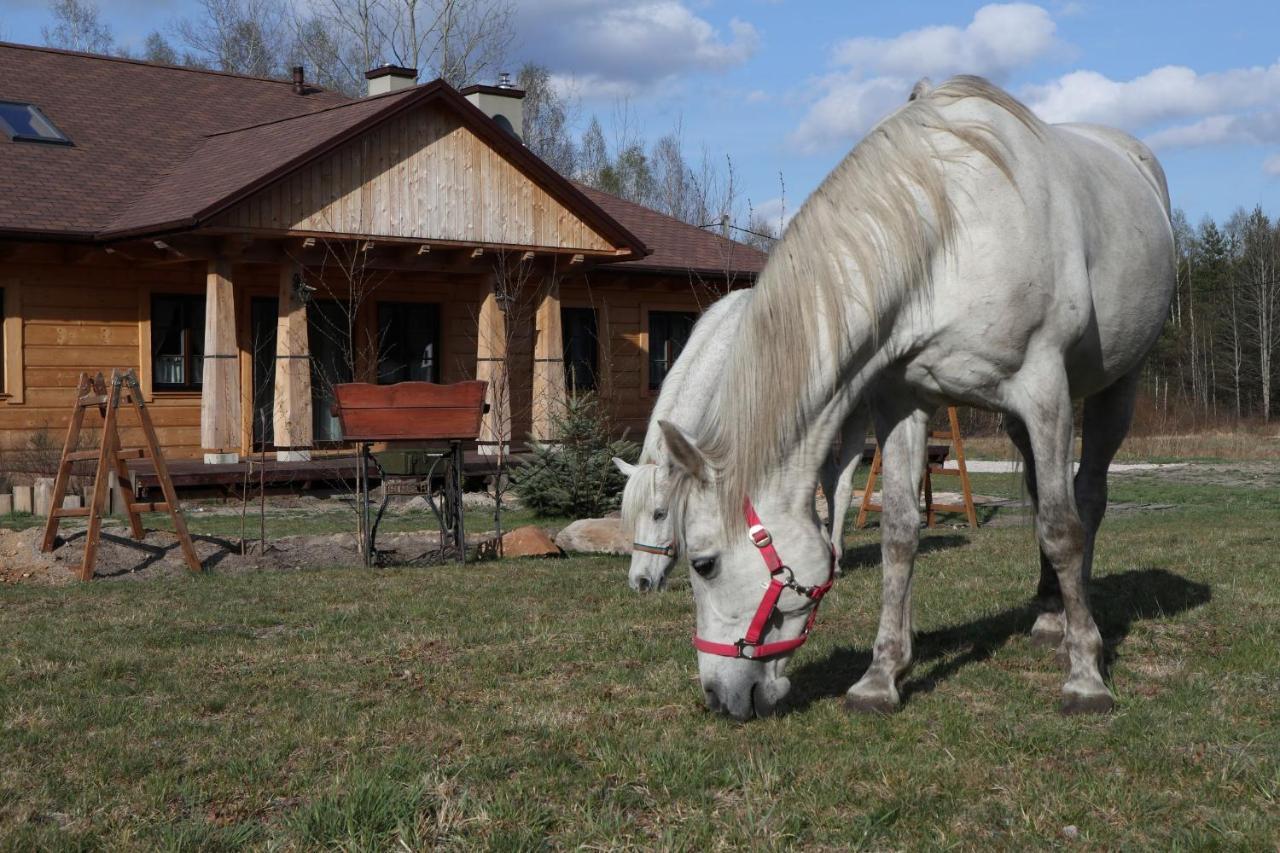 Chata Pod Swinia Gora Blizyn Bagian luar foto